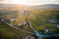 Drone shot of the picturesque vineyards in Villié-Morgon, France at sunrise, featuring green fields and rural landscapes.