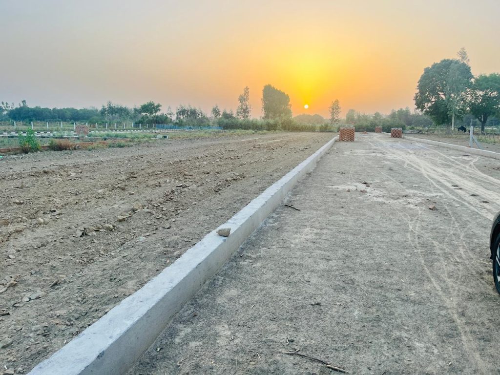 whatsapp image 2025 10 14 at 11.18.38 pm