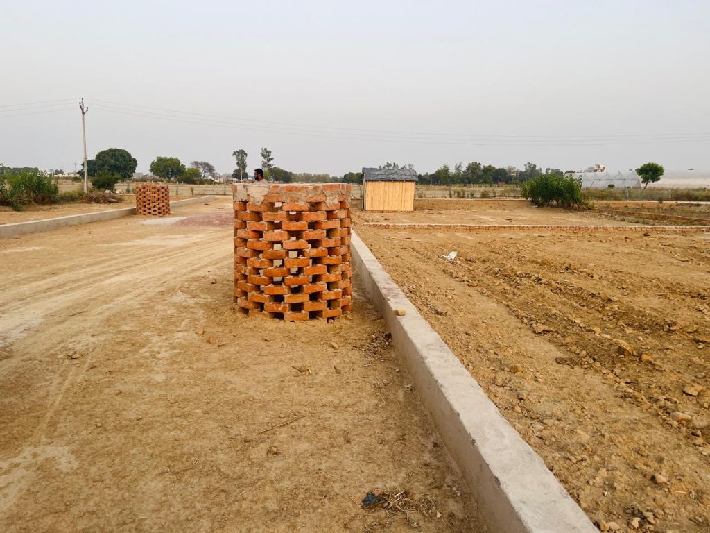 whatsapp image 2025 10 14 at 11.18.39 pm